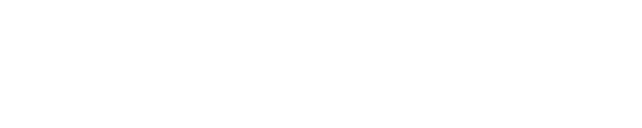 My Website Pte Ltd Logo